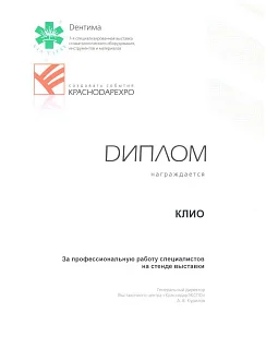 Дипломы №9
