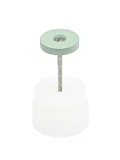 Превью Абразивный камень с алмазной крошкой для полировки циркона, с держ., диск, ф=24х4,5 мм №1