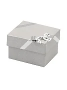 Превью ЖРЦ-7 футляр под кольцо/серьги, серебристый №3