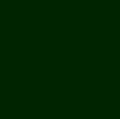 картинка Шкатулка под 17 монет, зеленый ФЧМ от Клио