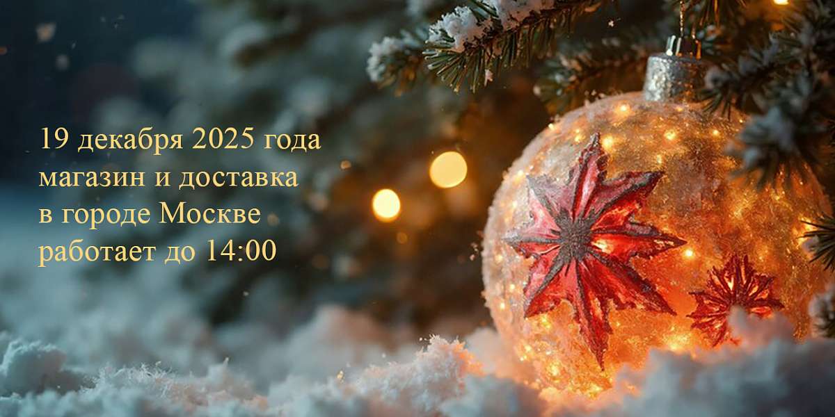 Корпоратив 2025